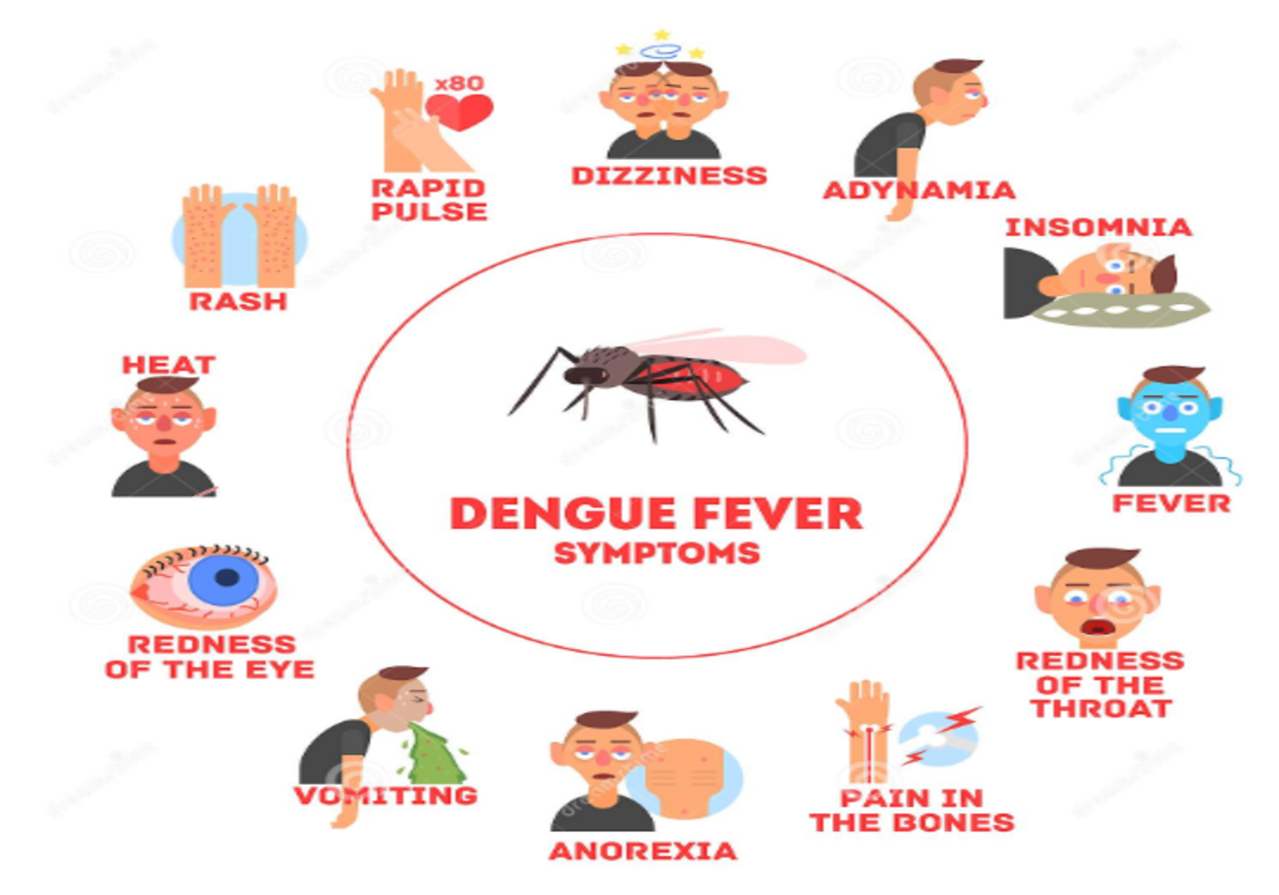 Fever Profile with Dengue(ELISA) 